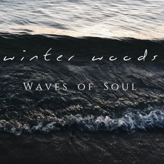 Winter Woods - Waves Of Soul
