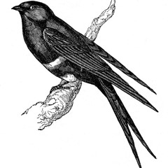 Our Days Were Met By Hope And Fear