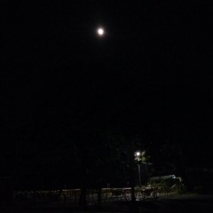 I don't wanna waste my time - joji cover