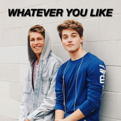 Froy - Whatever You Like (Snippet)