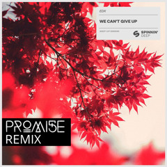 EDX - We Can't Give Up (PROMI5E Remix)[Free Download]
