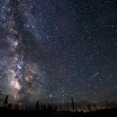 Everything's Gray (Original Track)