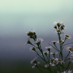 Unaware - Allen Stone (cover) by Annisa Pane