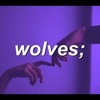 Selena Gomez X Marshmello Wolves Tryads Remix Mp3