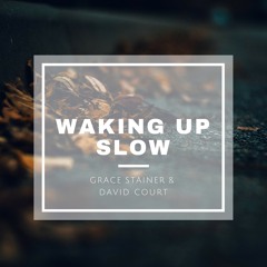 Waking Up Slow - Gabrielle Aplin (David Court & Grace Stainer Cover)