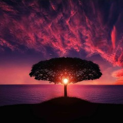 Bleib mal ganz ruhig ... Nov 2017