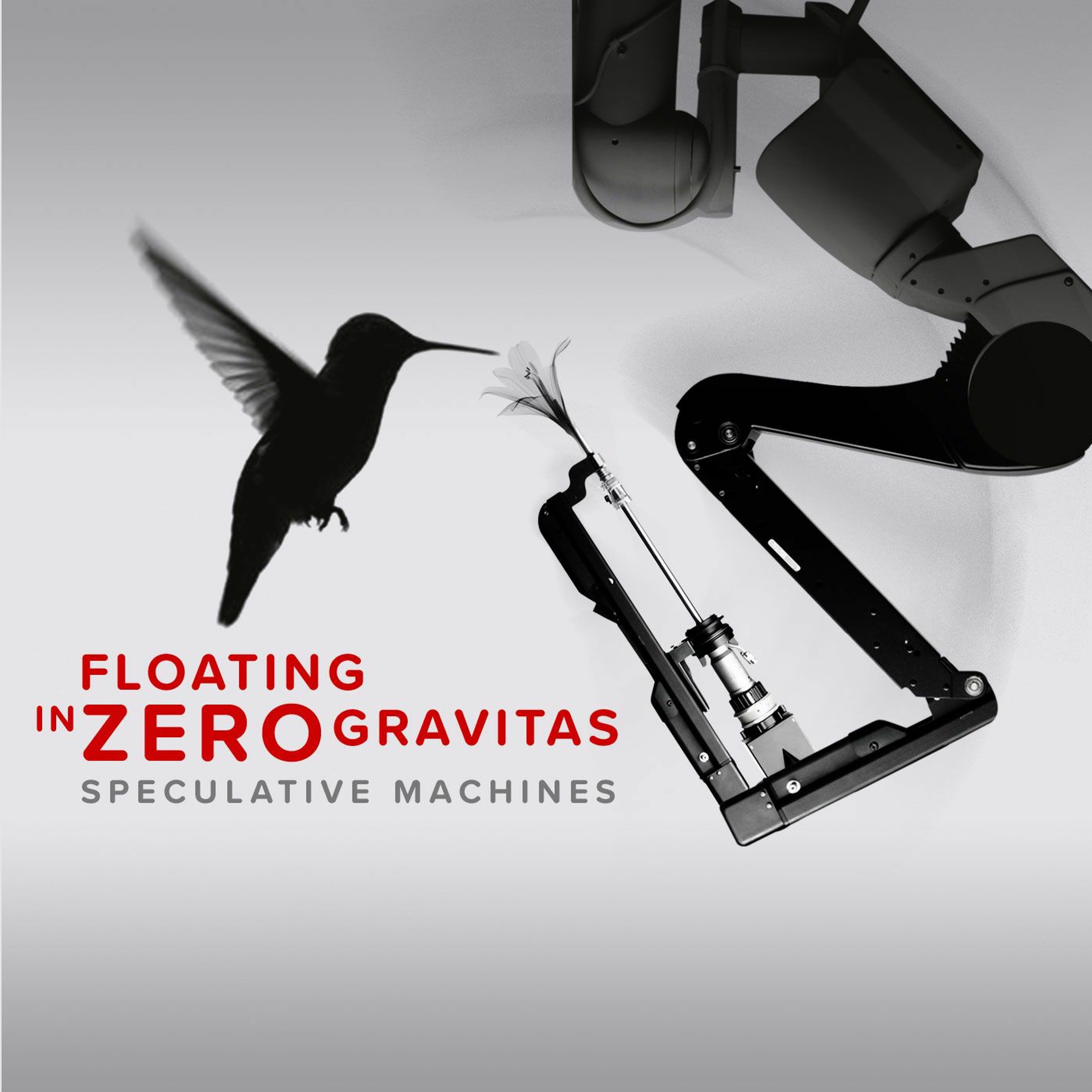 Floating in Zero Gravitas episode artwork