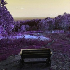 T R I P P I N
