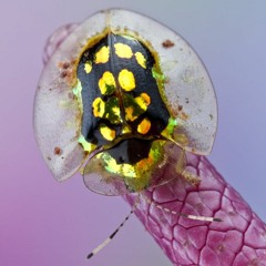 JEROME Mixfile #220-clubchild