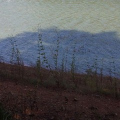 Marjan Vahdat - Rooted In You