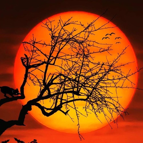 Amanecer Raro -Jesus D La Luz 17¬& - Copia