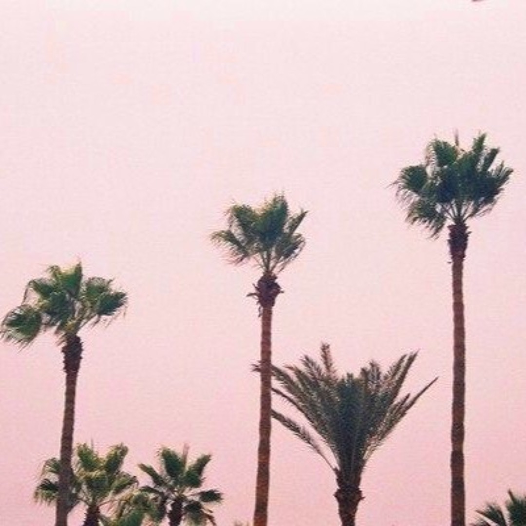 Stream Zineb Rachid | Listen to Morning playlist playlist online for ...