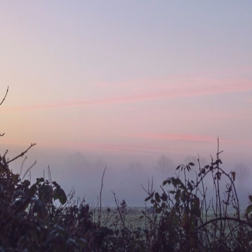 an awakening in c major
