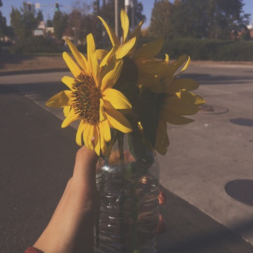 Mellow Fellow & Clairo - How Was Your Day? (iam2000 Edit)