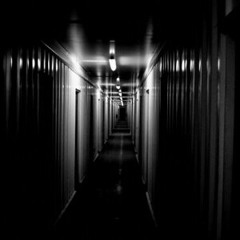 Sector Of Shadows