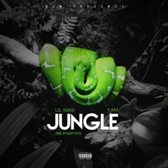 Jungle (Ft. 4AM)