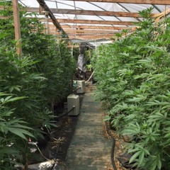 SP£ND OWO - EOTD (Extended Version)