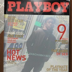 Riot Conscious By Sancho Baybee