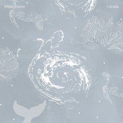 Cicada - White Forest