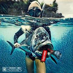 Lil Fish & 219Lano - 4Real