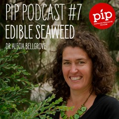 Pip Podcast #7: Edible Seaweed with Dr Alecia Bellgrove