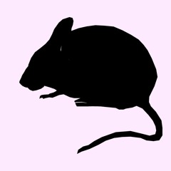 "Mousey's Roar" [Michael Ash Sharbaugh, Cranky Fox, and Wou-Wou & The Wormling] [instrumental]