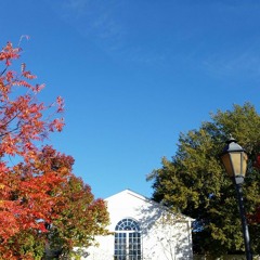 All Souls Luther Sunday
