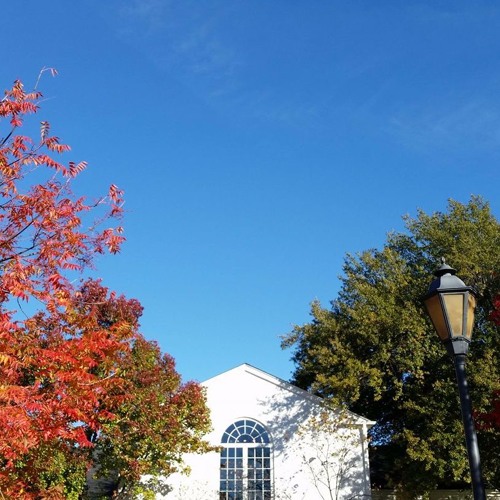 All Souls Luther Sunday