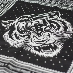 Trigga Tiger × Cinco Tiger - Believe