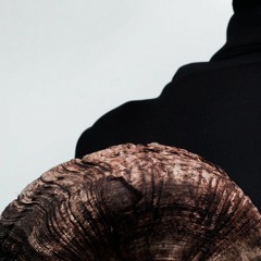 Dysecdysis EP InstrumentoOptico