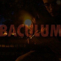 69 ( Guy de Maupassant )