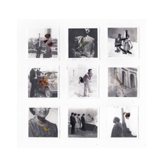 Preview - Reeko - Humans or Animals EP - PoleGroup048