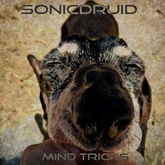 SONICDRUID-MIND TRICKS