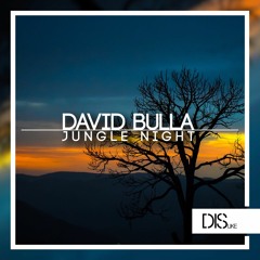 David Bulla - Jungle Night  [Free Download]