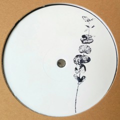 Will Gates - TBS EP (WHYTENUMBERS003)