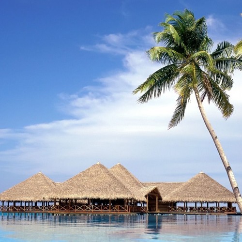 Plato Ginting - Tedeh