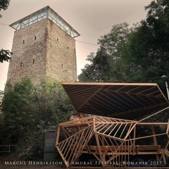 • Marcus Henriksson @ Amural Festival, Brașov, Romania Sep 2017 •