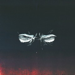 rebirth
