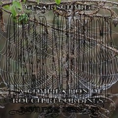 Loving Life / Spider Webs