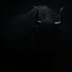 MONOMANGO - I AM THE WILDERNESS