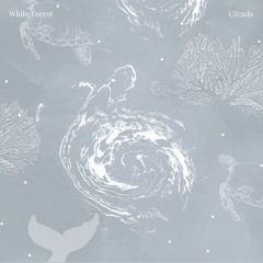 Cicada - White Forest (album trailer)