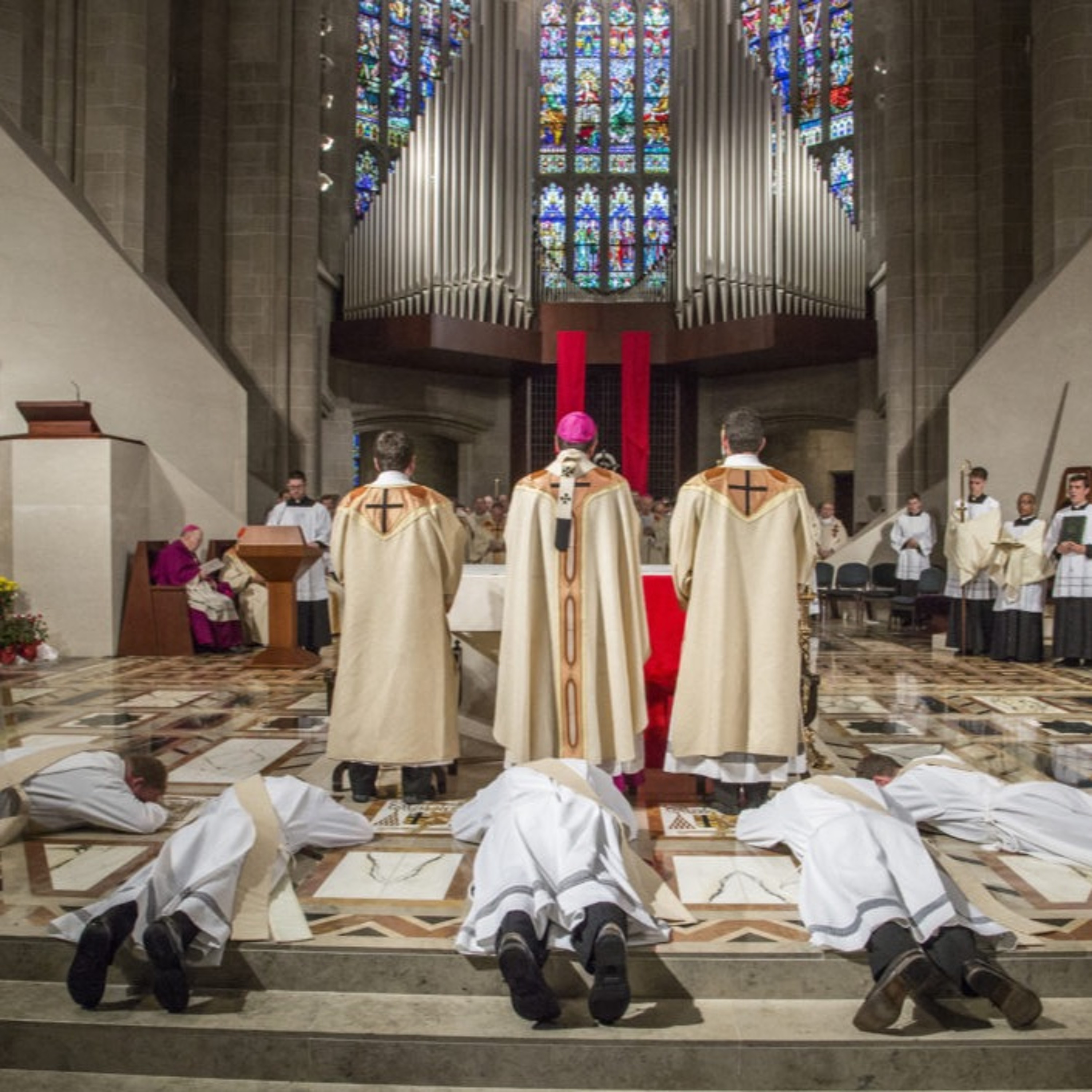 The Priest - Homily for November 5 episode artwork