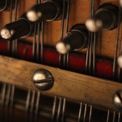 Lambert - Leaves (Day By Day Project  - Monday)