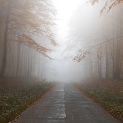 Mindfulness Episode 33