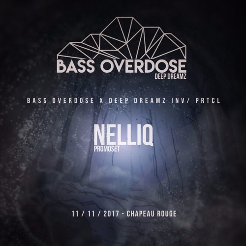 BASS OVERDOSE x DEEP DREAMZ INV/ PRTCL (NelliQ Promoset)