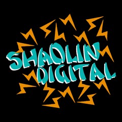 Shaolin Digital at Cosies - Friday 28th July - Parly B & Lionpulse