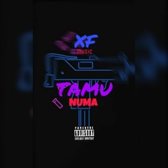 Tamu Numa