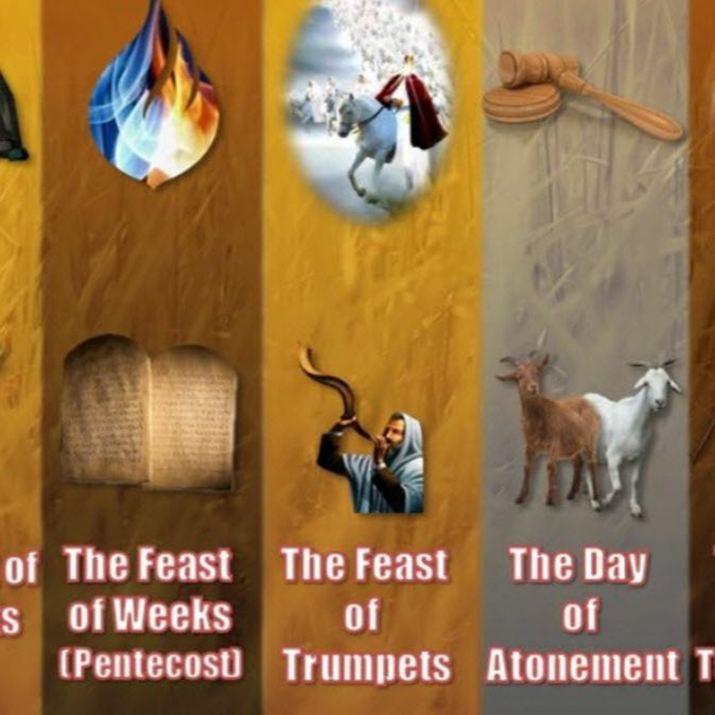 HHMI ~ Intro to the Festivals ~ Pt 2 ~ Festivals Teach us About the Messiah! episode artwork