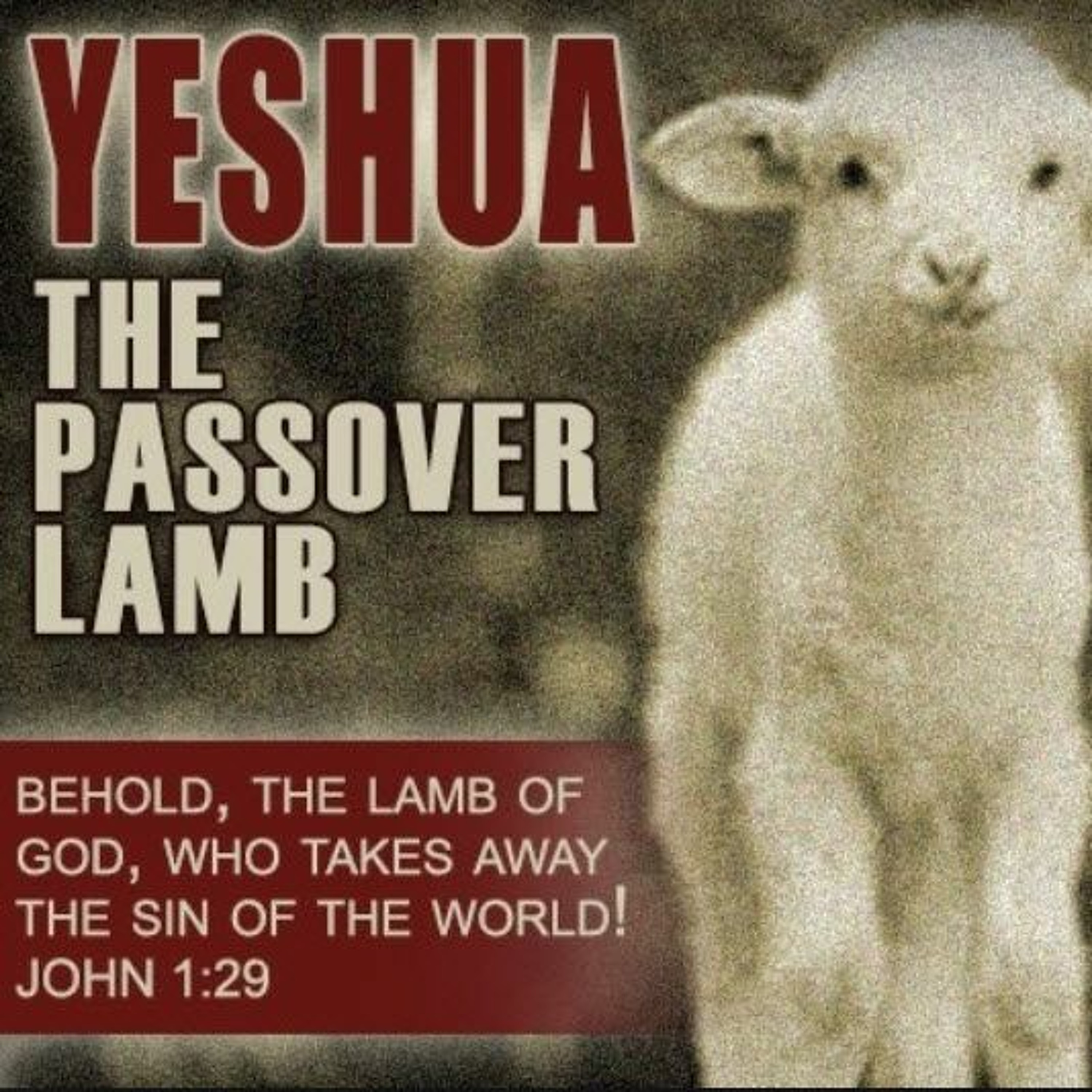 HHMI ~ Themes of Passover ~ Pt 3 ~ That all Nations will Know that Yahweh is the LORD! episode artwork