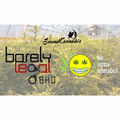 Episode 42 - Sound Cannabis